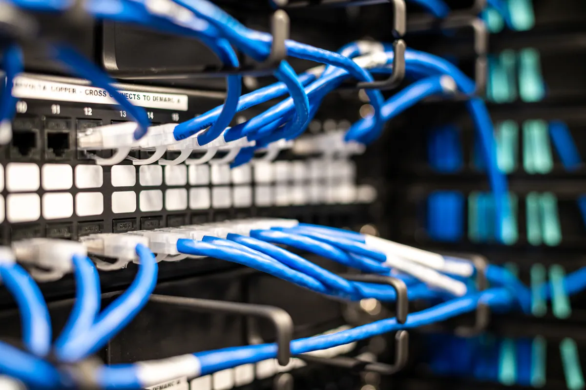 Blue network cables connected to a patch panel